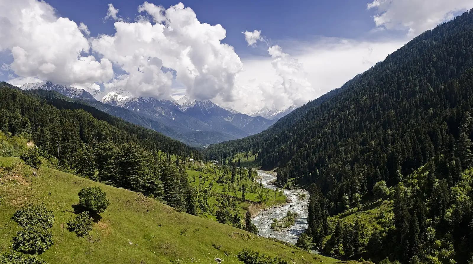 Kashmir Honeymoon — 5 Nights 6 Days Kashmir Tour Package by Falcon Trails